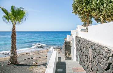 Sea walkway close to the sea with brick wall and palm tree at Puerto del Carmen, Lanzarote