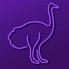 ostrich neon sign, modern glowing banner design, colorful modern design trend. Vector illustration.