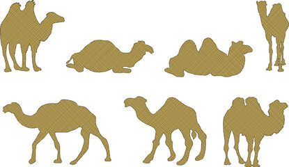 Naklejka premium vector illustration sketch vector design desert animal camel is walking in the desert