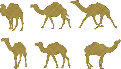 Naklejka premium vector illustration sketch vector design desert animal camel running