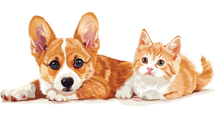 Cute Corgi dog and ginger kitten on white background