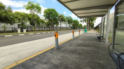 trees lined up in a road side opposite a bus stop