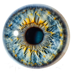 Eye Iris Isolated on white background