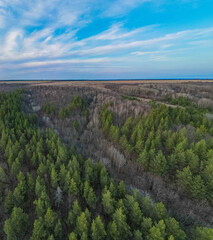 the forest in early spring aerial photography