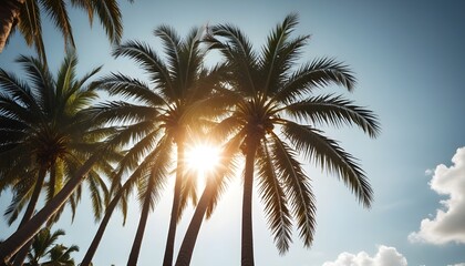 Sunlight filters through tall palm trees on a sunny day, casting shadows on the ground below - Powered by Adobe