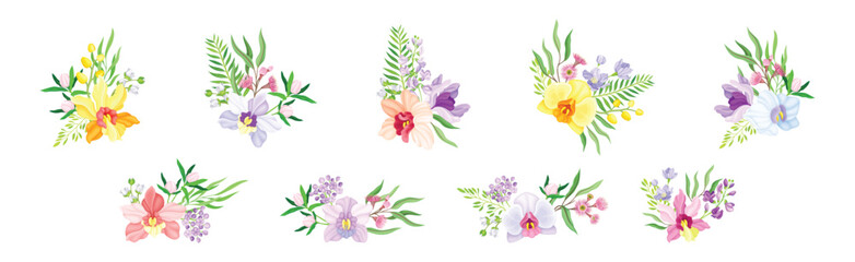Exotic Bouquet of Orchid and Blooming Twig Vector Set
