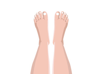 leg isolated on white background illustration vector