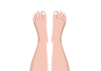 Obraz premium leg isolated on white background illustration vector