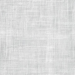 Seamless white canvas texture background
