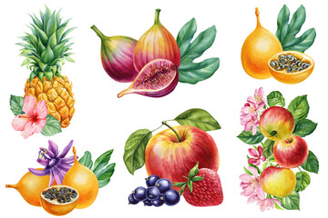 Set fruit, pineapple, Apple, berries, strawberry, fruit isolated, composition watercolor botanical illustration