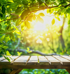 wooden table and blurred garden background with tree branches leaves and sun