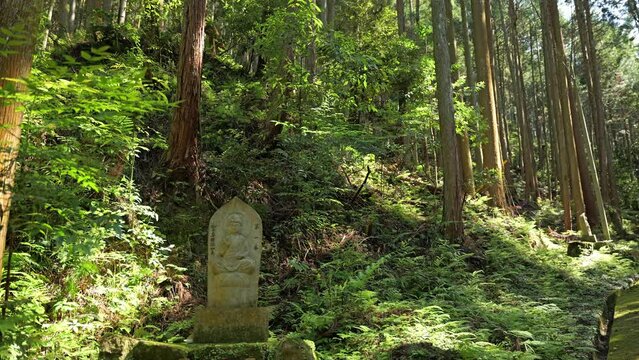 Stone Jizo in the forest, a traditional Buddhist monument