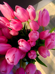 Bouquet of flowers. A bouquet of pink tulips. Bright photo. Bright picture. Pink. Tulips