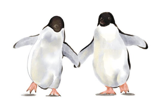 penguin love ice Penguin Family in Antarctica Snowscape two penguins hand drawn illustration on transparent background