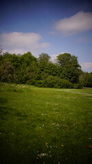 Countryside, Woodland, Nature, Landscape, Rural, Forest, Trees, Scenic, Serene, Tranquil, Greenery, Foliage, Meadows, Fields, Tranquility, Countryside scenery, Natural beauty, Outdoor, Peaceful, Wilde