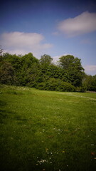 Countryside, Woodland, Nature, Landscape, Rural, Forest, Trees, Scenic, Serene, Tranquil, Greenery, Foliage, Meadows, Fields, Tranquility, Countryside scenery, Natural beauty, Outdoor, Peaceful, Wilde