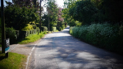 Woodland and road photography