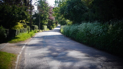 Woodland and road photography
