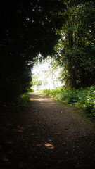 Countryside, Woodland, Nature, Landscape, Rural, Forest, Trees, Scenic, Serene, Tranquil, Greenery, Foliage, Meadows, Fields, Tranquility, Countryside scenery, Natural beauty, Outdoor, Peaceful, Wilde