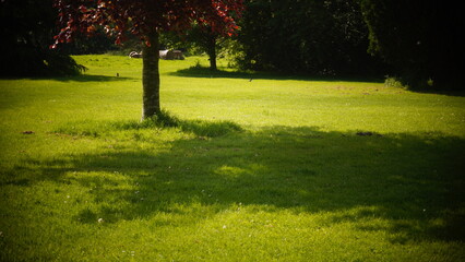 Countryside, Woodland, Nature, Landscape, Rural, Forest, Trees, Scenic, Serene, Tranquil, Greenery, Foliage, Meadows, Fields, Tranquility, Countryside scenery, Natural beauty, Outdoor, Peaceful, Wilde
