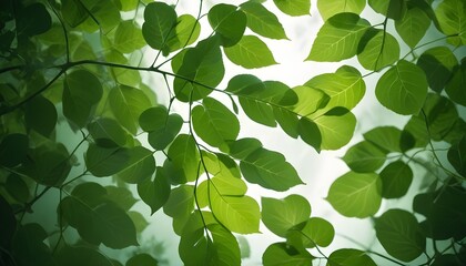 Obraz premium Green Foliage backdrop. Green green leaves as spring backdrop representing the nature and a relaxing calm.