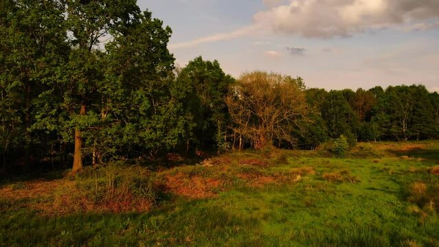 Woodland nature reserve in England wide aerial 
