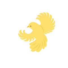 Bird yellow isolated on a white background