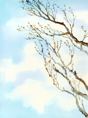 Watercolor landscape. Old bare tree