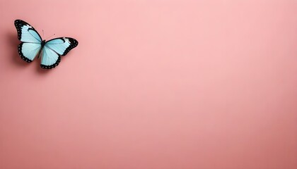 A blue butterfly rests on a vibrant pink background, showcasing its colorful wings in contrast to the bright backdrop