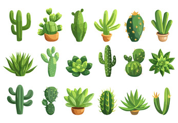 Cactus plants set. Succulents, green plant of desert. Mexican nature vector clipart