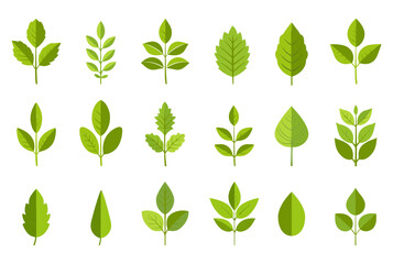 Flat green leaves collection. Leaf of marple oak birch tree. Isolated environmental symbol. Simple vector eco nature collection