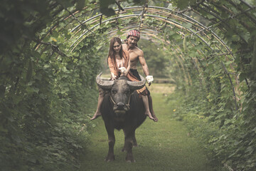 An Asian Thai couple is happily riding buffalo wearing a traditional outfit farmer in agricultural organic vegetable plots.