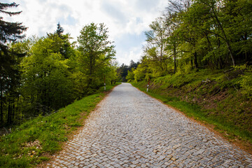 Paved road in the mountain park