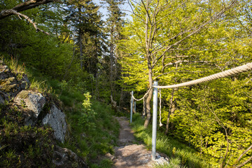 Obraz premium Walking path in mountains with safety handrail