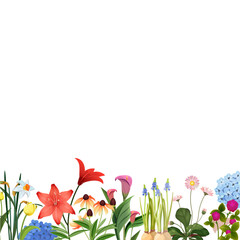 Flowers background with beautiful spring flowers footer for web or print design project