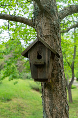Bird Nest In The Tree stock photo