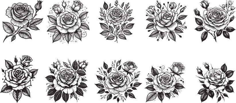 Collection of roses, Black line art gor roses, vector design and illustration