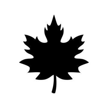 recommend clip art: Maple leaf Silhouette Vector Art isolated on white background