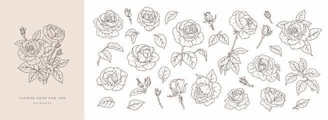 Set of rose flower greenery leaves line art isolated. Spring floral garden roses black logo wreath sketch plant. Vector illustration botanical stem, green leaves, floral bloom