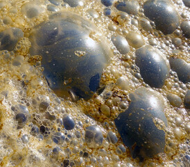 Close-up shot of foam bubbles by the lake shore