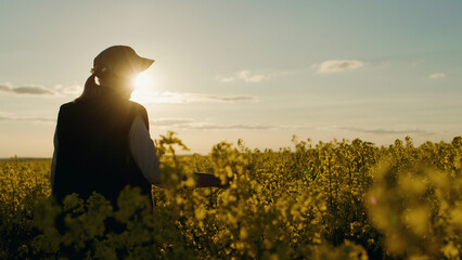 A woman farmer stands in a rapeseed field at sunset. Beautiful rural landscape.
