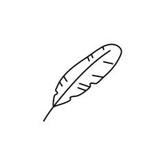 Hand drawn bird feather