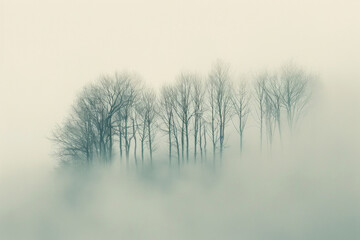 A minimalist landscape photograph capturing the layered patterns of trees receding into the distance on a foggy morning, with their soft silhouettes and muted tones.