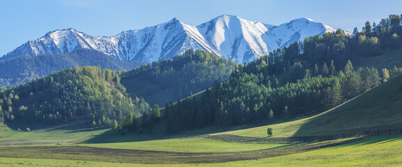 Panoramic view of mountain valley on spring day, green forests and snow on the peaks