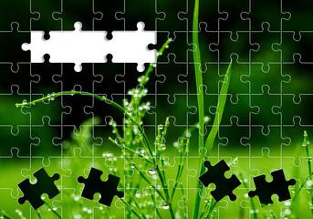 朝露　グリーン　植物　イメージ素材　ジグソーパズル調
