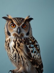 An Owl bird is sitting on a blue background. AI generated image