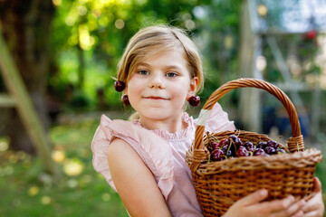 Beautiful girl in the garden. Happy girl with cherries. Preschol child with basket full of ripe...