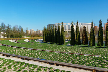 Semicircular terraces with sage foliage go down to rows of trimmed Thuja plicata (Western red cedar). Top view of city park Krasnodar or Galitsky park. Sunny spring 2024