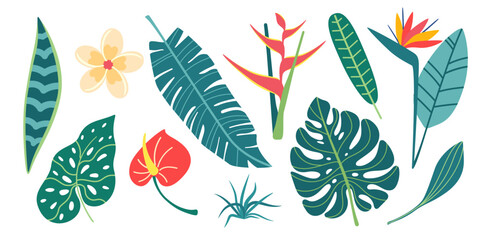 Set of tropical leaves and flowers. Flat design. Exotic plants in simple style isolated on white background. Vector stock illustration.
