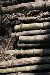 A wooden boardwalk.